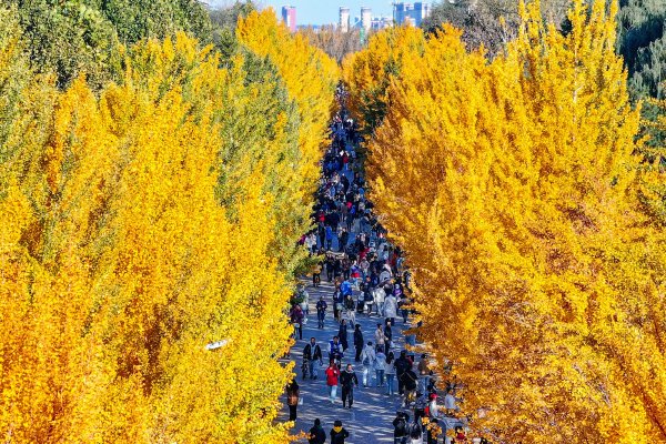 文学艺术|51直播13277大但人文艺术照老公叫我喊闺蜜来家里吃饭今年第一期全国高温中暑气象预报今天发布